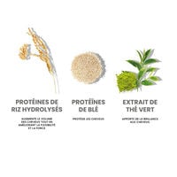 Routine nourrissante Repair My Hair