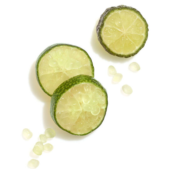 Conditionneur cheveux colorés et épais Invigo Color Brilliance 1000ml