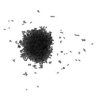 Crystal pixie Swarovski Classy Sassy,  Crystal pixie Swarovski Classy Sassy