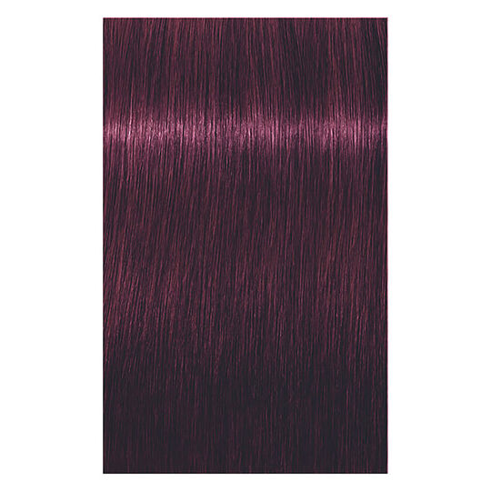 Coloration permanente Igora Royal 6-99 blond fonc&eacute; violet extra