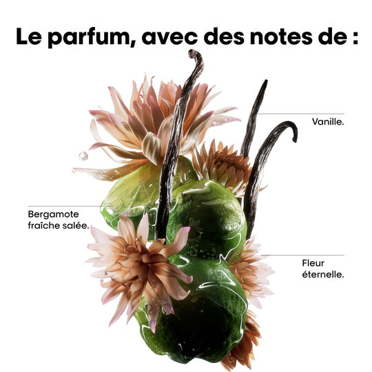 Pr&eacute;-traitement concentr&eacute; Absolut Repair Molecular