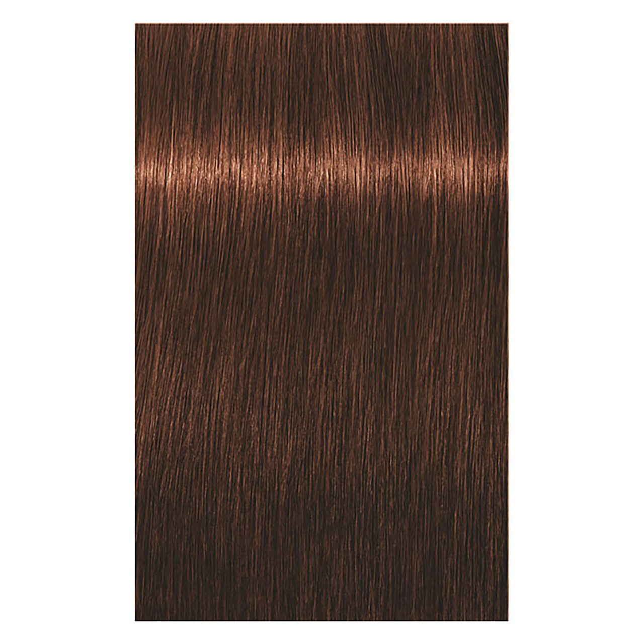 Schwarzkopf Professional - Coloration permanente Igora Royal 5-7 châtain - vue 2