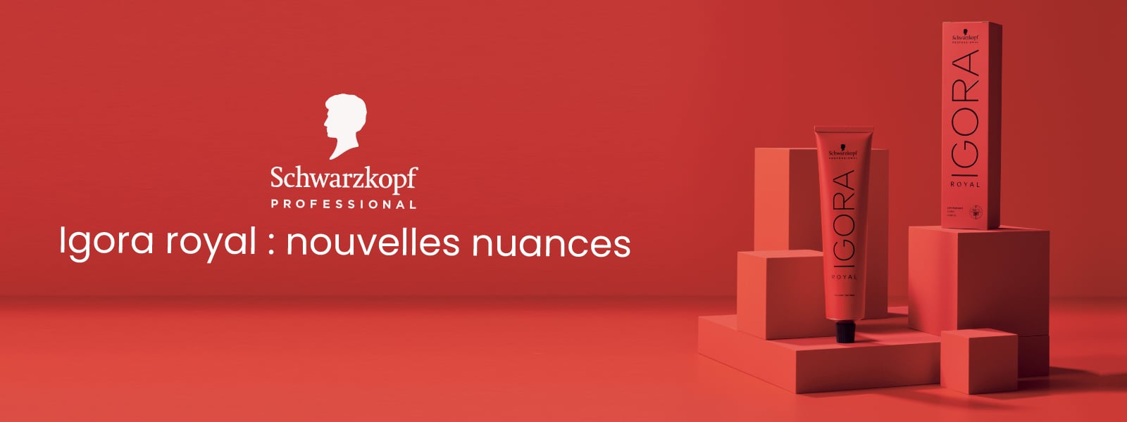 Nouvelles nuances Igora Royal à découvrir