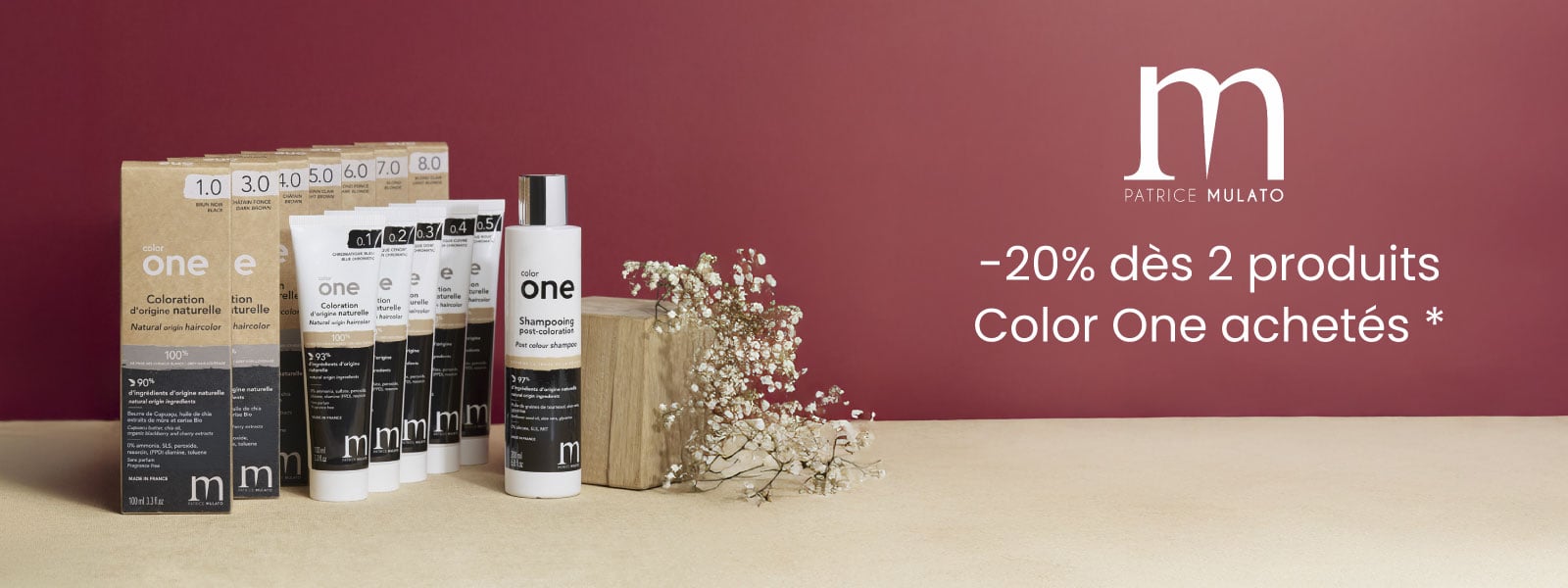Patrice Mulato : -20% dès 2 produits Color One achetés *